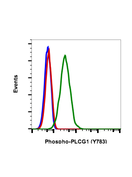 Phospho Plcg Y Recombinant Mab Abwiz Bio