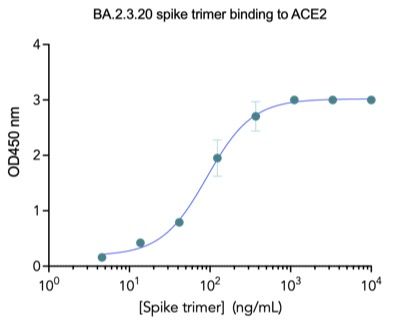 SARS-CoV-2 Spike Protein (RBD) Chimeric Recombinant Rabbit, 49% OFF