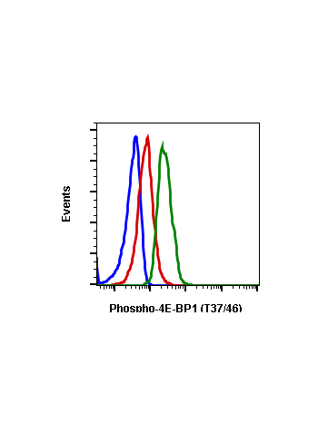Flow cytometric analysis of Jurkat cells unstained LY294002 treated cells as negative control (blue) or stained and treated with LY294002 (red) or with TPA (green) using phospho-4E-BP1 (Thr37/Thr46) antibody 4EB1T37T46-A5 PE conjugate. Cat. #2042.