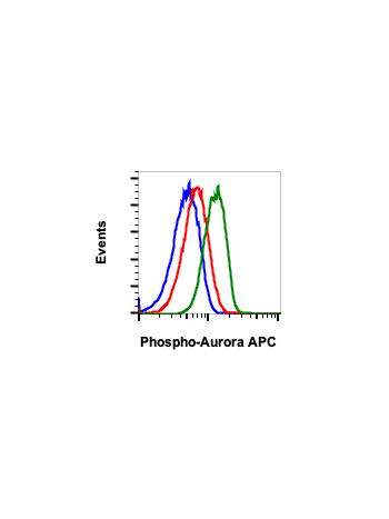 Phospho-Aurora A (Thr288)/Aurora B (Thr232)/Aurora C (Thr198) (CC12) rabbit mAb APC conjugate