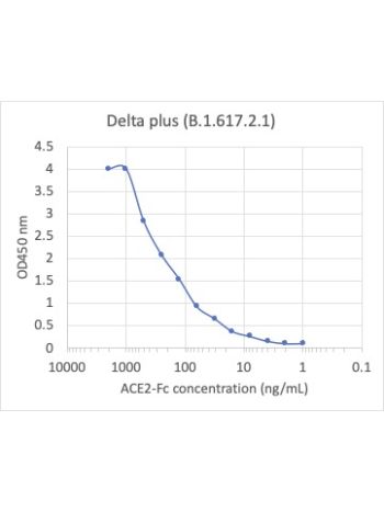 Concentration–response curves for binding of CoV2 spike protein to human ACE2 in cell-free ELISA-type assays. Microtiter wells were coated with 100 uL of each spike trimer at 2 ug/mL in PBS at 4˚C overnight. The wells were washed with PBS and blocked with