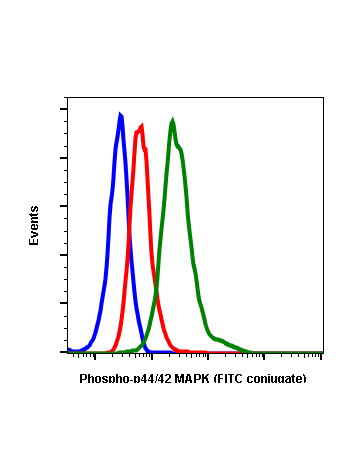 Flow cytometric analysis of Jurkat cells secondary antibody only negative control (blue) or treated with U0126 (red) or treated with TPA (green) using Phospho-ERK1/2 (Thr202/Tyr204) A11 FITC antibody ERK12T202Y204-A11. Cat. #1113.
