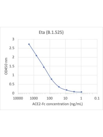 SDS-PAGE gel shows high purity for recombinant SARS-CoV-2 Eta spike protein.