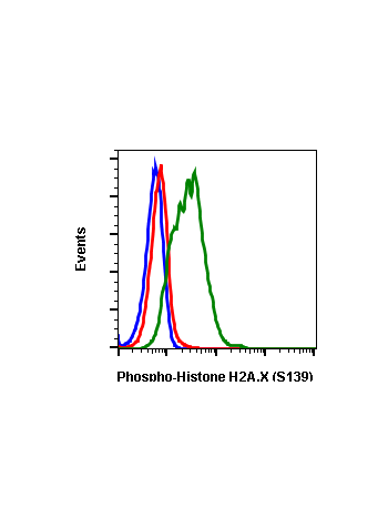 Phospho-Histone H2A.X (Ser139) (1B3) rabbit mAb