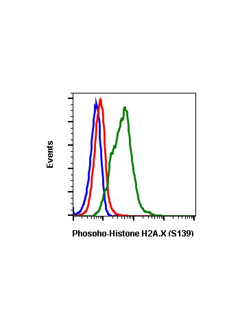Phospho-Histone H2A.X (Ser139) (1E4) rabbit mAb