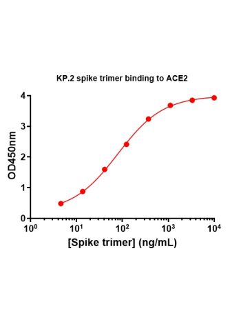 Concentration–response curves for binding of CoV2 spike protein to human ACE2 in cell-free ELISA-type assays. Microtiter wells were coated with 100 uL of ACE2-Fc at 2 ug/mL in PBS at 4˚C overnight. The wells were washed with PBS and blocked with 200 µL of