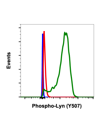 Phospho-Lyn (Tyr507) (5B6) rabbit mAb