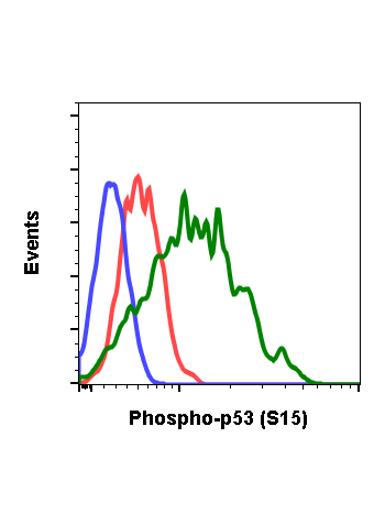 Flow cytometric analysis of SK-N-MC cells secondary antibody only negative control (blue) or untreated (red) or treated with staurosporine (green) using phospho-p53 (Ser15) antibody P53S15-1C11 0.1 µg/mL. Cat. #1186.