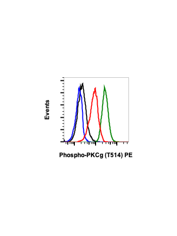 Phospho-PKC (pan) (gamma Thr514) (PF4) rabbit mAb PE conjugate