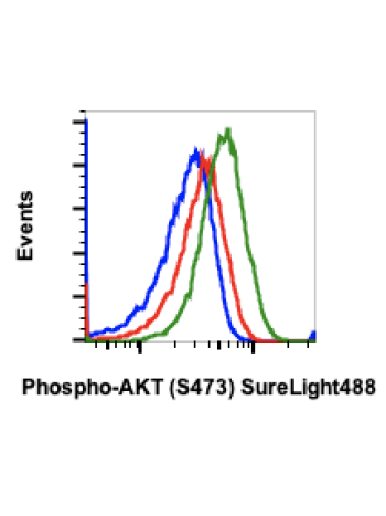 Phospho-Akt1 (Ser473) (B9) rabbit mAb SureLight488 conjugate