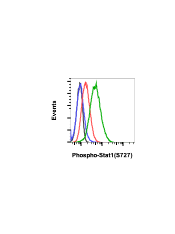 Phospho-Stat1 (Ser727) (C6) rabbit mAb